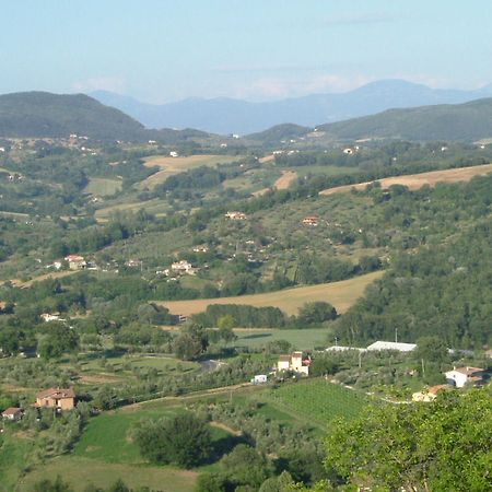 Agriturismo Poggio Della Rosa Amelia Exteriör bild
