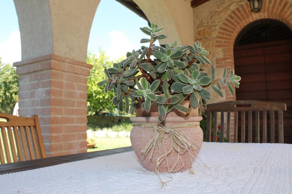 Agriturismo Poggio Della Rosa Amelia Exteriör bild